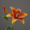 Arancione
