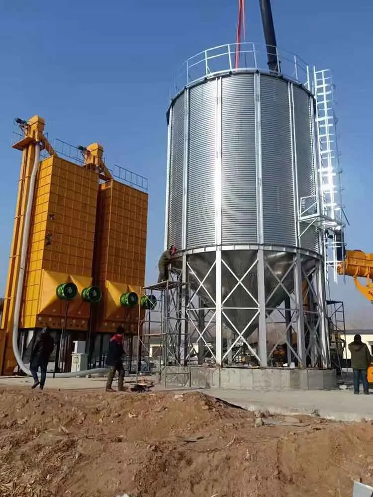 Silo De Acero Para Almacenamiento Temporal De Semillas De Girasol,Silo Para  Almacenamiento De Aceite,Semillas Y Granos,50-15000 Toneladas - Buy  Semillas De Girasol Silo Arroz Inoxidable Silos De Almacenamiento,De Acero Silo  De Almacenamiento