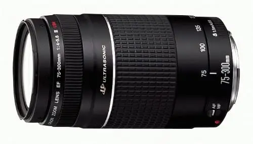 Canon EF 75-300mm F/4-5.6 III Telephoto Zoom Lens for SLR