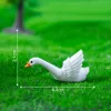 8#Cigno