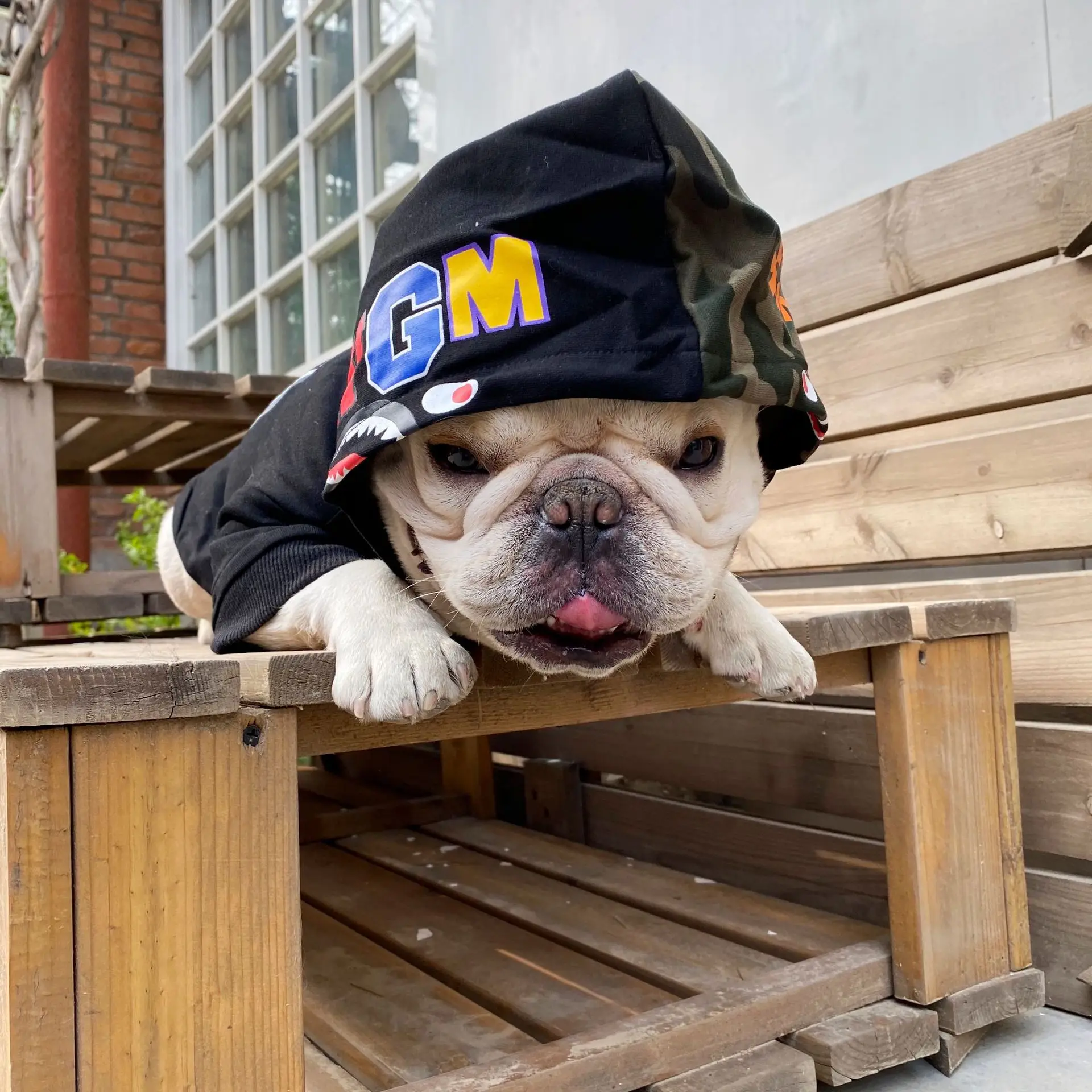 2022 Luxury Comfortable Dog Shirt Sport Hoodie Clothes Pet Apparel