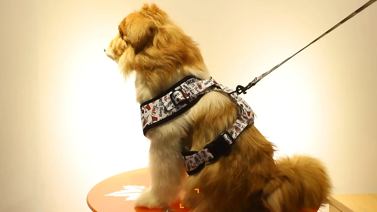 Wholesale Neoprene Luxury Tactical Designer Pet Dog Harness Set Pet