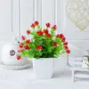 Rojo