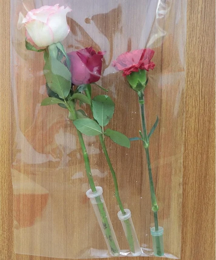 50 pezzi tubo di stoccaggio del fiore tubo dell'acqua fiale floreali rose tubi di plastica singoli per fiori fornure per l'organizzazione del bambino  15