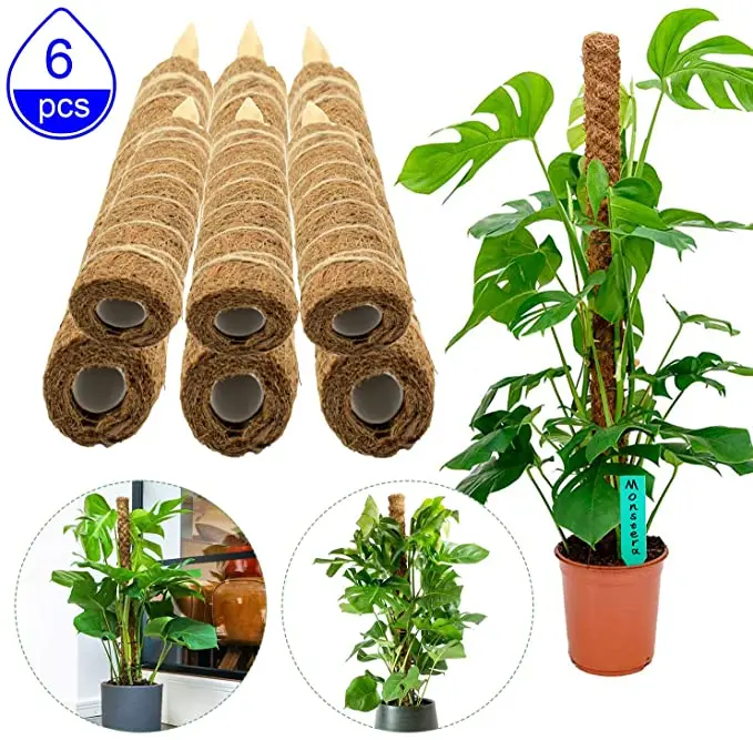 40cm Coco Coir Moss Pole - Bamboo Root Support Climbing Plant Monstera Moss  Pole