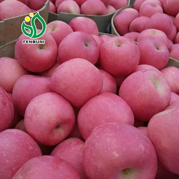 Fresh Chinese Red Paper Bagged FUJI Apples - China Fresh Apple, Apples