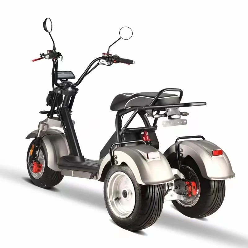 Electric Trike 3 Wheel Electric Citycoco E Scooter Adults 3000W 2000W E Scooter Three Wheel Scooter