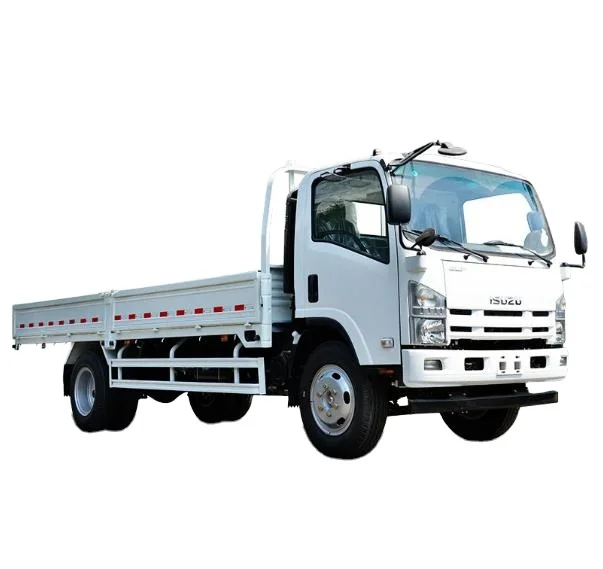 Isuzu Elf 16ft Dropside Cargo Truck - Manual Transmission