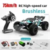 16101PRO Blue Brushless [Single Box 1824.6g]