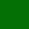 Green-blank bag