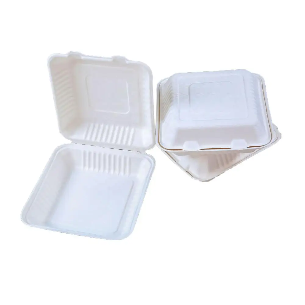 
Biodegradable sugarcane bagasse tableware lunchbox food containers 