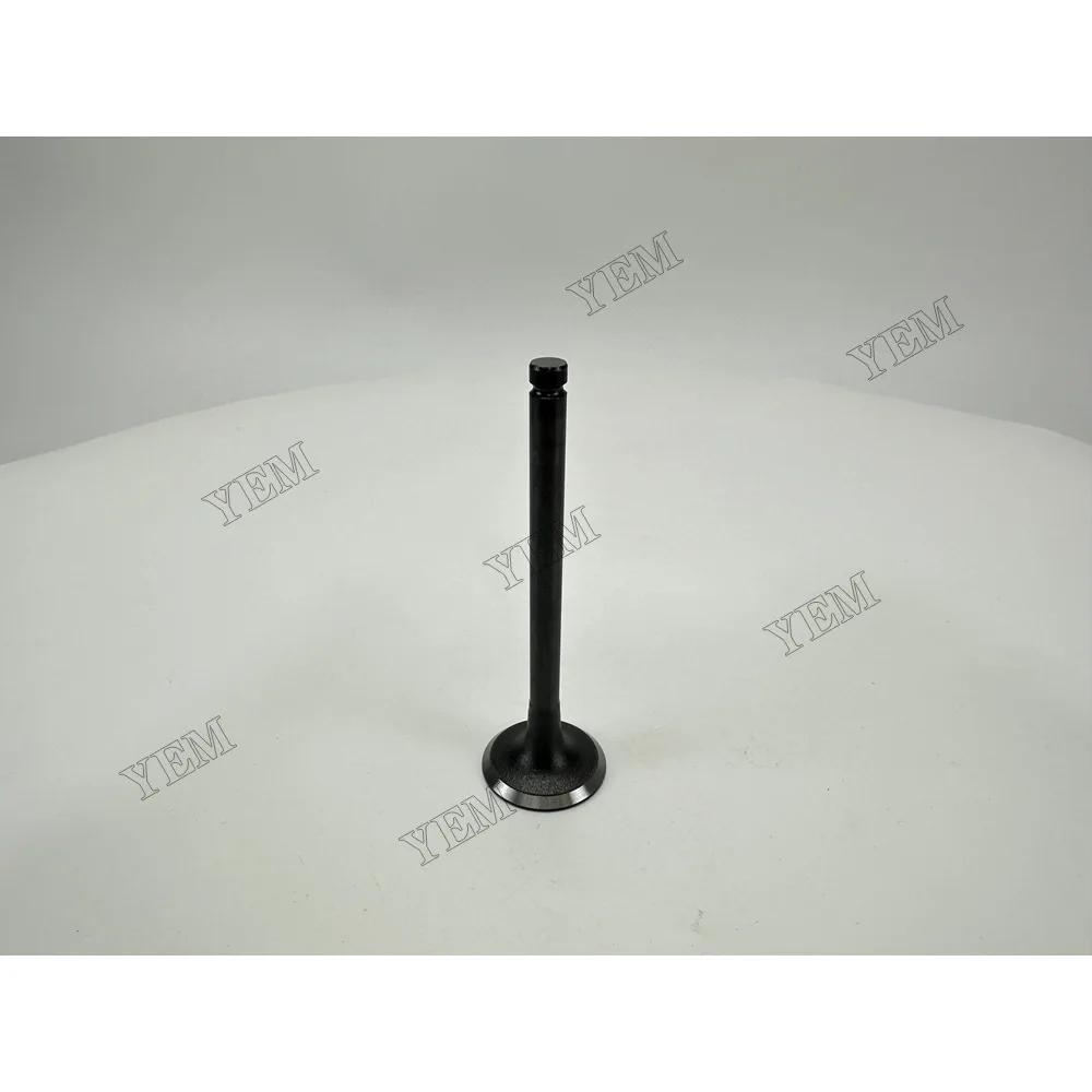 Intake Valve for Isuzu 3KC2 Engine Parts 3