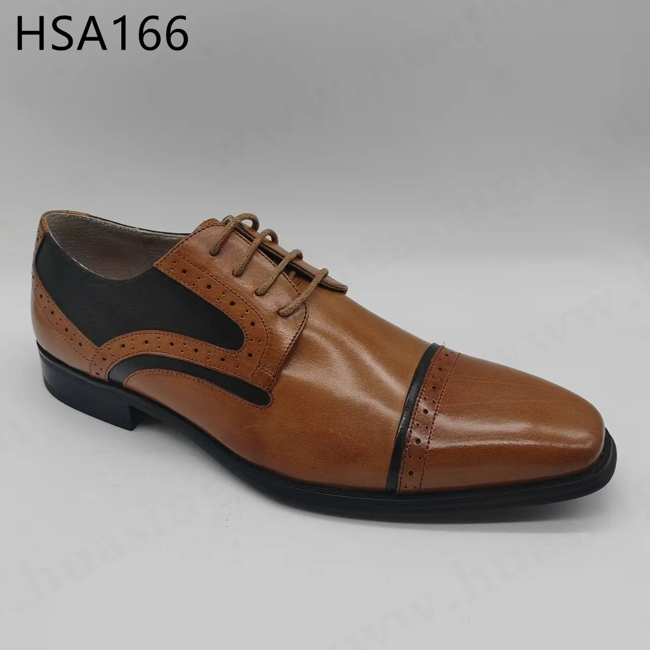 HSA166 ()