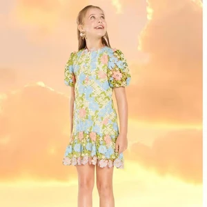 Good Quality Elegant Summer Short Sleeves Colorful Flora Embroidery Button Girls Dress Girl Outfit