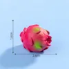 21 # Dragon fruit