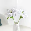 Lily white