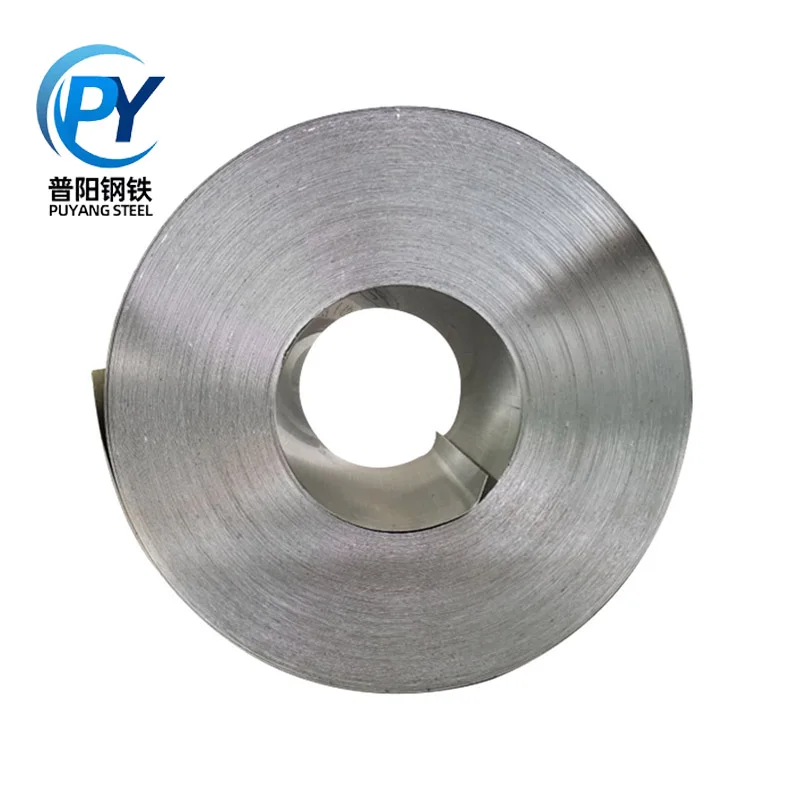 Galvanized Steel Coil (4)