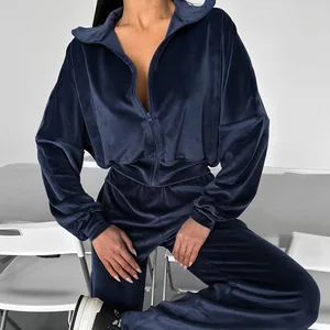 2024 New Tracksuit Pants Sets Casual Spring Fall Tracksuit Track Suit Women Hooded Top Velvet Sweatsuits Trouser 2-Piece Set