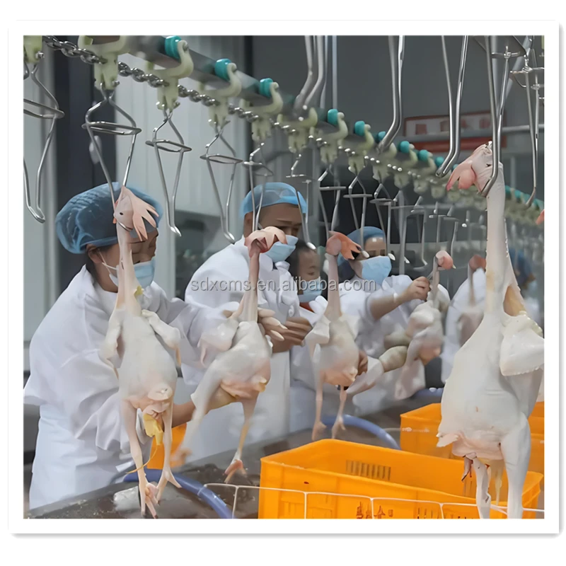 High Quality Automatic Chicken Duck Goose Processing Plant Poultry Slaughtering Equipment for Slaughterhouse