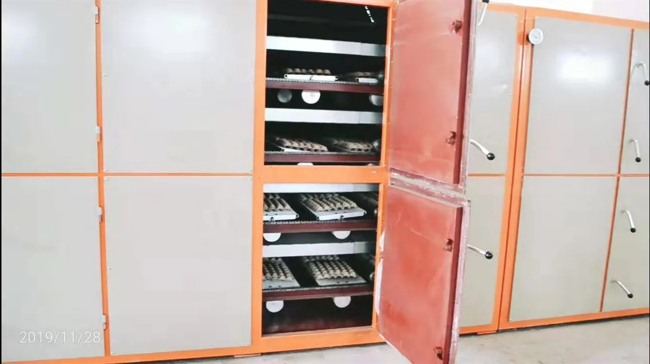  Herstellerwegwerfpapier formte trockene Fruchtbehälter-Eierablageausrüstung