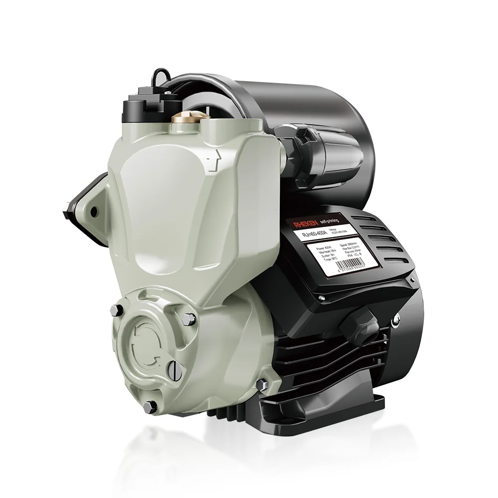 220v Automatic Pressure Control Agricultural Spray Pump