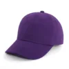 #18 Dark Purple