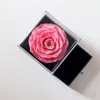 Rosa brillante sin collar