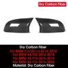 Fibra de carbono seca