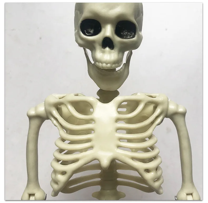 crazy-halloween-scary-hanging-life-size-full-body-human-skeleton