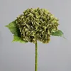 Verde oliva