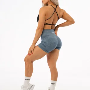 Custom Women Fitness Yoga Apparel Gym Shorts Activewear Butt Lifting Contour Seamless Shorts