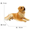 3293 golden retriever lib-4655g