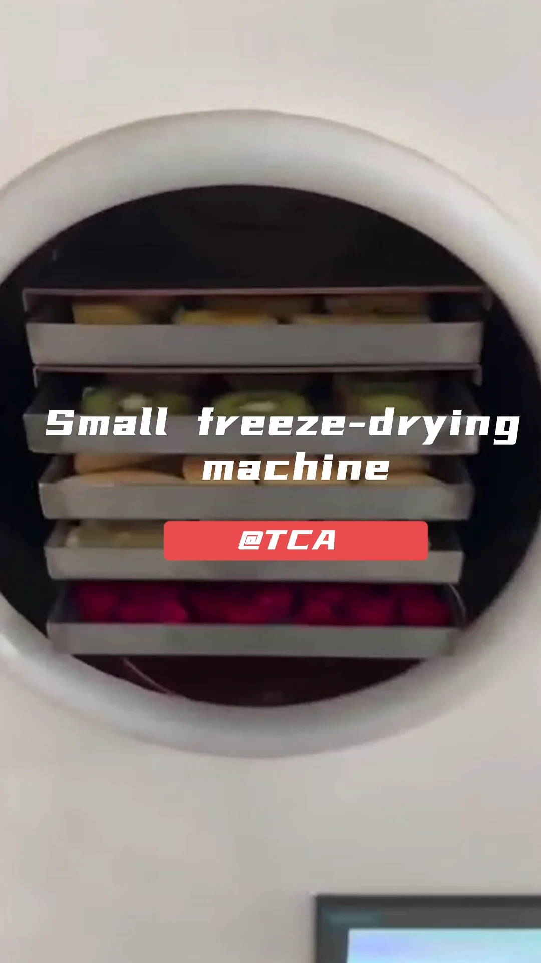 Tca Small Type Freeze Dry Vacuum Machines Home Use And Industrial