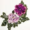 Luce Viola