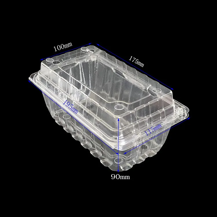 Food-Grade PET Hinged Packing Punnet High Transparency Vent Holes Extend Freshness Ideal for Fruits/Vegetables/Berries Packing