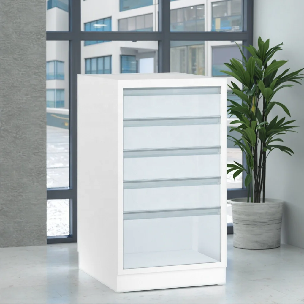 Modular Modern Stainless Steel Clinical Archives Organizer Cabinet for Hospital Office Use with Suspension Files Labeling System 5