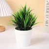 Spring grass