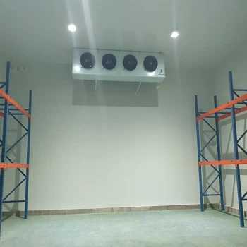 Commercial Walk-in Freezer Fish Storage Compressor Cold Refrigeration Cold Storage Room