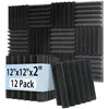Black - 12 Pack Wedge Panels