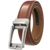 brown - matte buckle