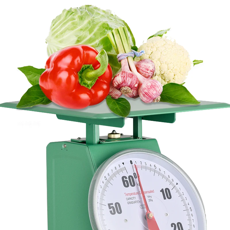 Customize logo Spring Scale Double Display Dial 30kg Stainless Steel Spring Scale