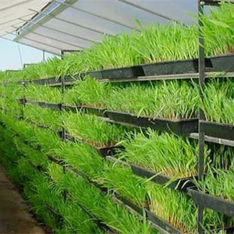 animal fodder system