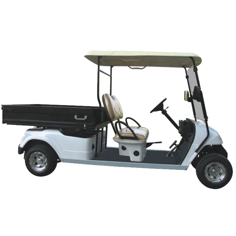 Street Legal 2 Person Electric Golf Cart Electric 2 Seats Utility Vehicles with cargo bed