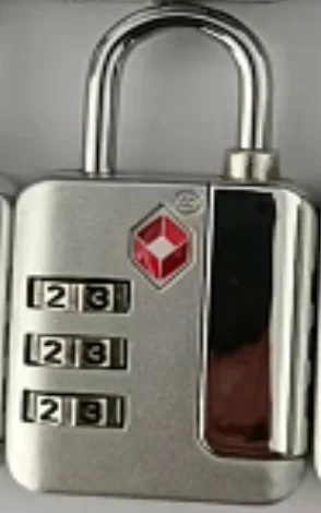 TSA 11.png