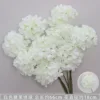 White candy hydrangea