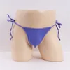 Viola