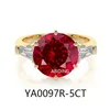 YA0097R-2CT   YA0097R-2CT