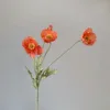 Deep coral pink