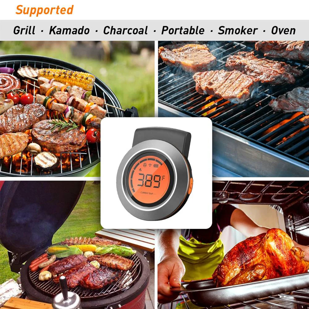 Garnen 160FT Bluetooth Wireless Meat Thermometer with 3 Temperature Probes,  (Accurate & Instant Read) Smart Digital Cooking BBQ App for Grilling Oven  Kitchen Food Smoker - Support iOS & Android 