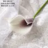 Purple heart white